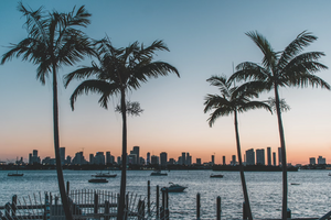Florida Miami Beach image for kratom laws in florida lockhold bulk kratom deals