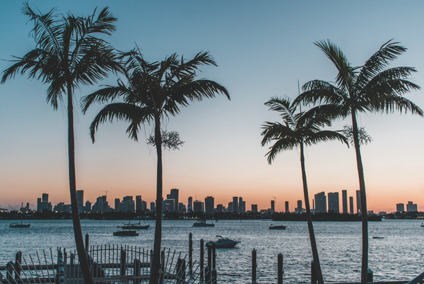 Florida Miami Beach image for kratom laws in florida lockhold bulk kratom deals
