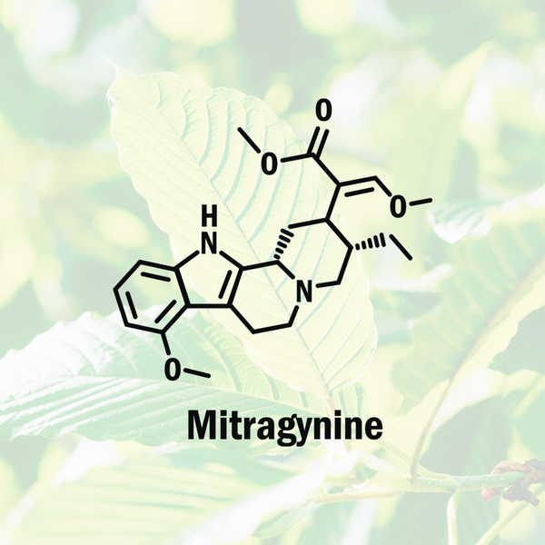 Mitragynine list of benefits lockhold kratom best