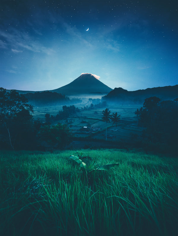 Exploring the World of Kratom, Origins and Benefits