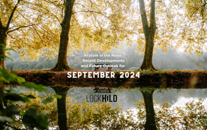 Golden autumn trees reflecting in a calm river under soft sunlight for September 2024 kratom industry news and developments blog post by Lockhold