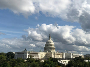 New Federal Legislative Efforts: A Game-Changer for Kratom in the U.S.