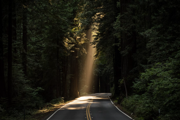 How Kratom Extract Is Made: Understanding the Process Behind Liquid Kratom (Break down the science of extraction and why Lockhold's method ensures potency & purity.) image of beautiful road through the forrest. best price kratom online