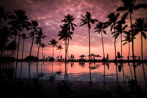 The Benefits of Sample Testing Why Lockhold Offers Free Kratom Samples